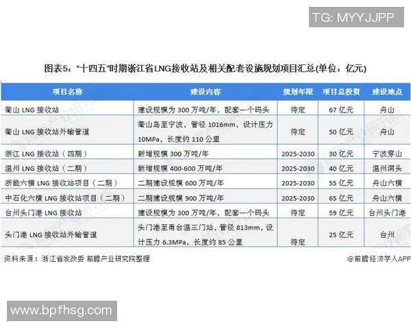深度分析LNG行业运营策略与市场动态的专业解读